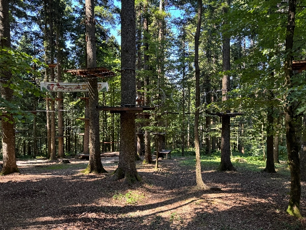 ZOMERVAKANTIE Fun Forest - Amsterdamse Bos 13 augustus 2026